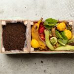 Compost y residuos orgánicos en compartimentos